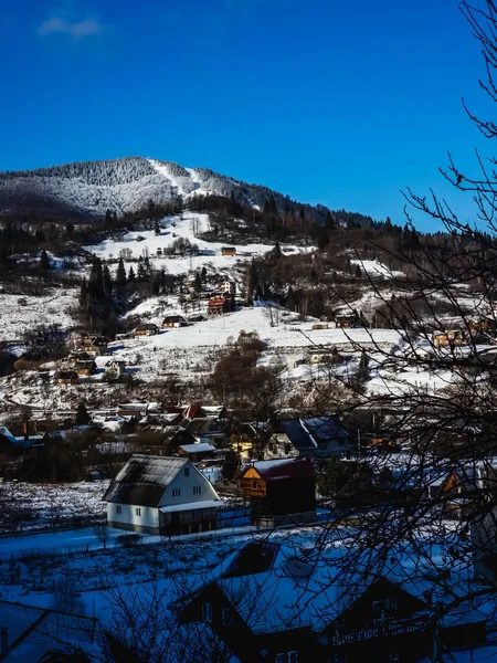 Karlı güzel kış manzarası - dağlarda tepeli ağaçlar