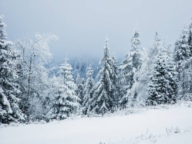 Karla kaplı dağlarla kaplı güzel kış manzarası