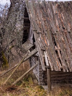 Ormanda terk edilmiş ahşap bir ev.