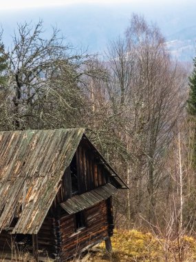 Ormanın kenarındaki ahşap kulübe.