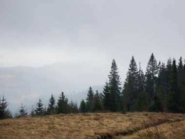 Karpat Dağlarının güzel manzarası