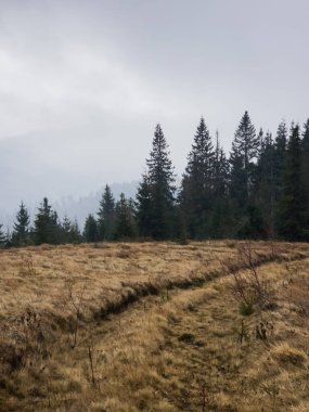 Sonbahar aylarında Ukrayna Karpatlar.