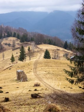 Karpat Dağlarının güzel manzarası