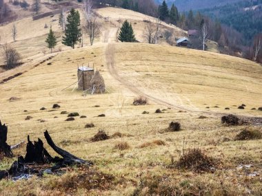 Karpat Dağları 'nın güzel manzarası, Romanya