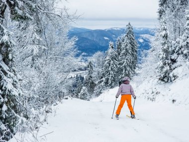 Karlı bir ormanda genç bir kız.
