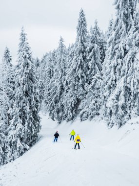 Karla kaplı ağaçlarla kaplı kış manzarası