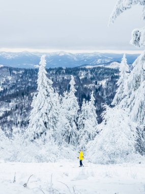 Karpat Dağlarının kış manzarası, Ukrayna.