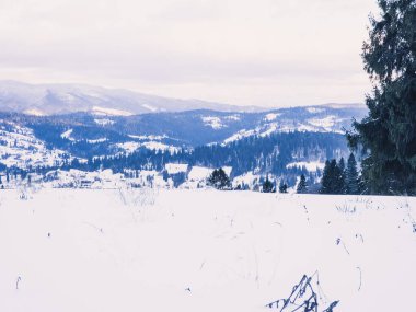 Karla kaplı ağaçlarla kaplı kış manzarası