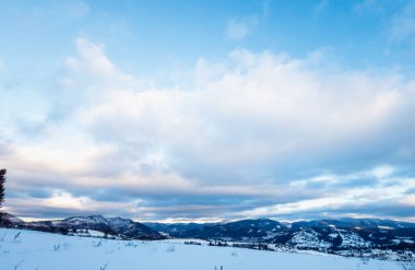Karla kaplı ağaçlarla kaplı güzel kış manzarası