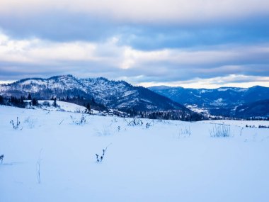 Karpatya dağlarında karlı manzara