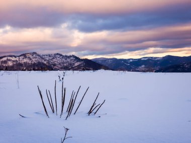 Kış manzarası dağlarda, karlarda ve ağaçlarda