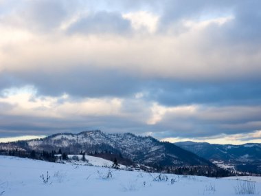 Karla kaplı ağaçlarla kaplı dağ manzarası