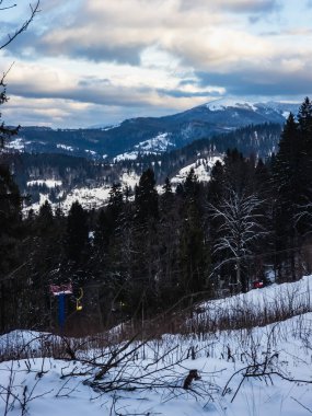 kar kış manzara ağaçları ile kaplı