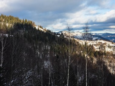 Kış dağ manzarası, ormandaki karla kaplı dağlar
