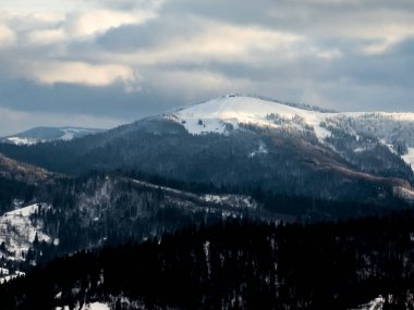Kışın dağlara. Karpatlar 'da kış manzarası. ukraine.