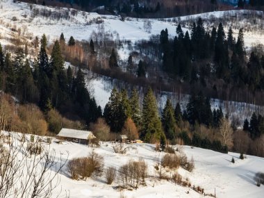 Bir dağ ormanındaki köyün kış manzarası, karla kaplı ağaçlar.