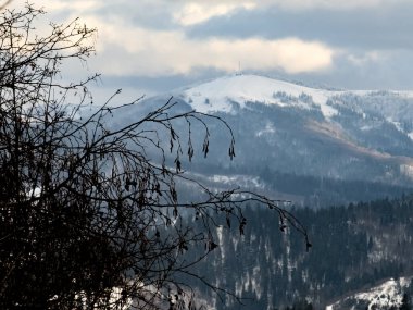 Kışın dağ manzarası