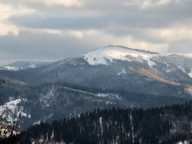 Karla kaplı ağaçlarla kaplı kış dağları