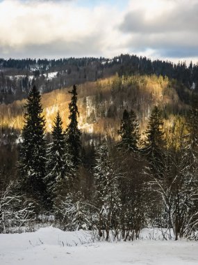 Kış ormanı ve dağ sırası.