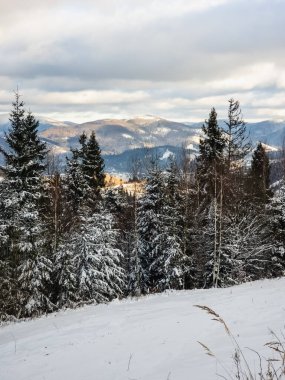 Dağlarda kış manzarası