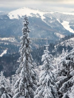 Güzel karlı kış manzarası.