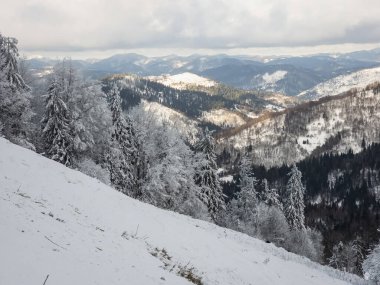 Karpat Dağları güzel kış manzarası.