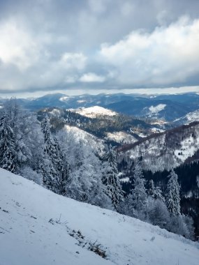 Karla kaplı ağaçlarla kaplı kış manzarası