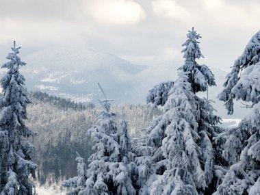 Dağlarda karla kaplı ağaçlar. Güzel kış manzarası. Kışın Karpat Dağları.