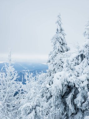Dağlarda kış manzarası