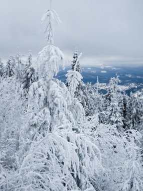 Karpat Dağları 'ndaki kış manzarası.