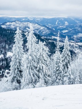 Dağların güzel manzarası