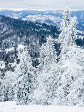 Karlı kış manzarası. Karla kaplı dağlar. yüksek kaliteli fotoğraf