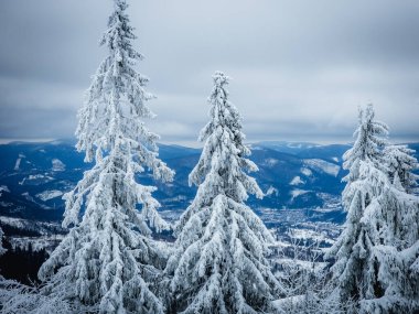 Dağlarda kış manzarası