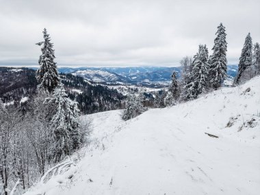 Kar ve ağaçlarla dolu güzel kış manzarası