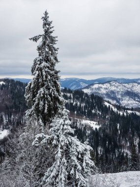 Güzel karlı kış manzarası