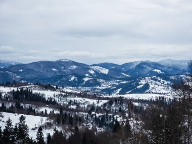 Karla kaplı ağaçlarla kaplı güzel kış manzarası