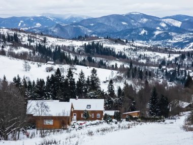 Dağlarda kış manzarası, karla kaplı ağaçlar