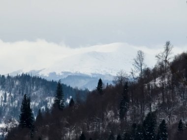 Karpat Dağları. Dağlarda kış. karla kaplı dağ zirveleri.