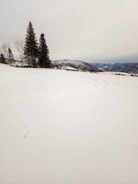 Karla kaplı ağaçları olan güzel bir manzara.