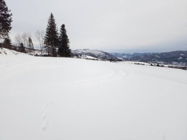 Dağlardaki güzel kış manzarası