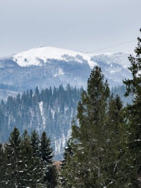 Karlı güzel kış manzarası