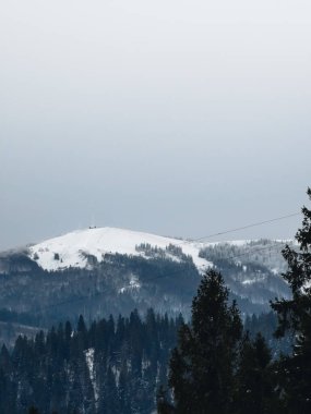 Karlı güzel kış manzarası