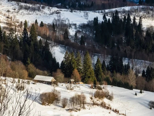 Bir dağ ormanındaki köyün kış manzarası, karla kaplı ağaçlar.