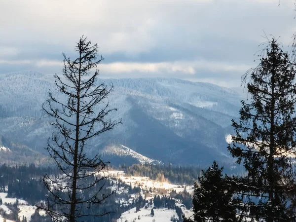 Karla kaplı ağaçlarla kaplı güzel kış manzarası
