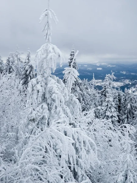 Karpat Dağları 'ndaki kış manzarası.