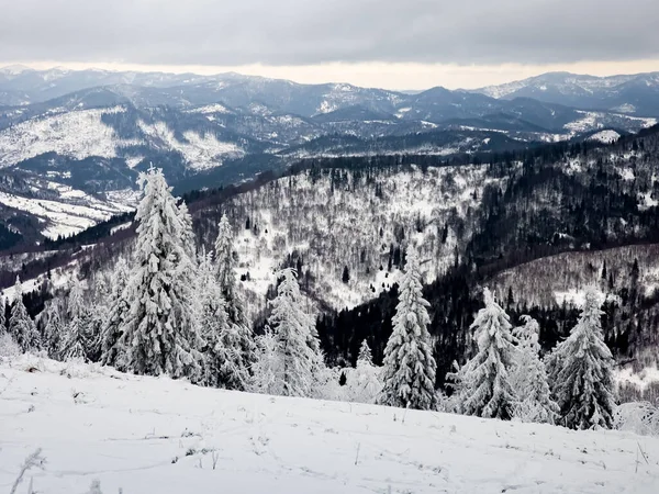 Kış dağ manzarası, karla kaplı dağlar. Carpathian, Ukrayna, Avrupa.