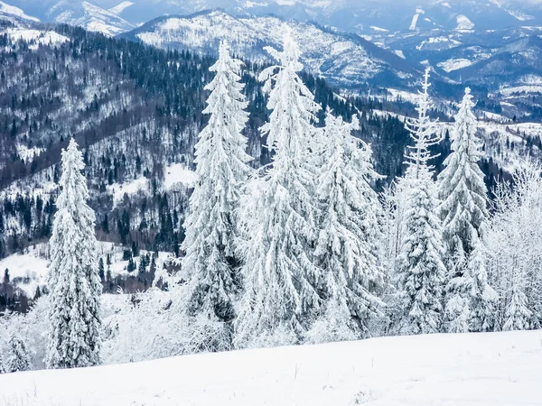 Karlı dağların güzel manzara