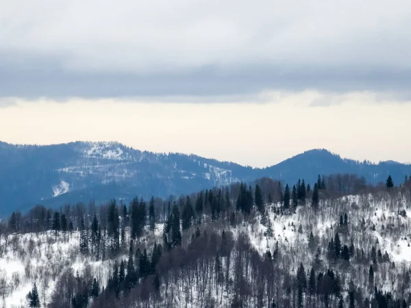 Karla kaplı kış dağ manzarası - tepeler ve ormanlar