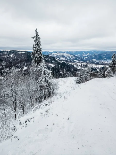 Dağın tepesinden kış manzarası
