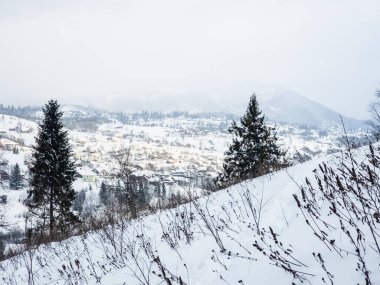 Köyü olan güzel kış manzarası